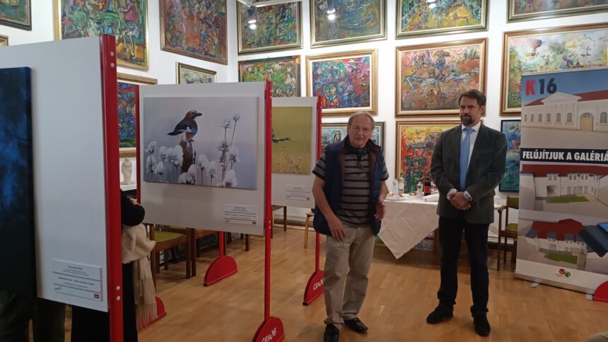 Vácon a K16 Galériában megnyílt a Varázslatos Magyarország, az ország legrangosabb természetfotó kiállítása